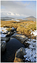 Upper Diamond Hill - Connemara National Park